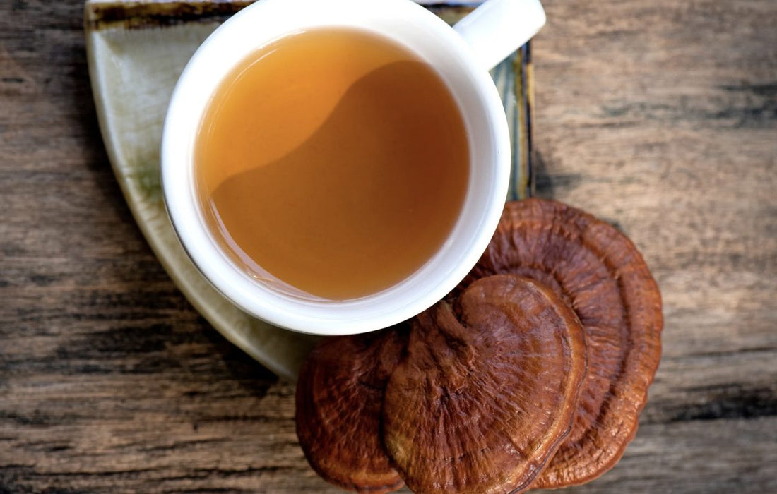 Ganoderma Tea: The Traditional Chinese Medicine Powerhouse
