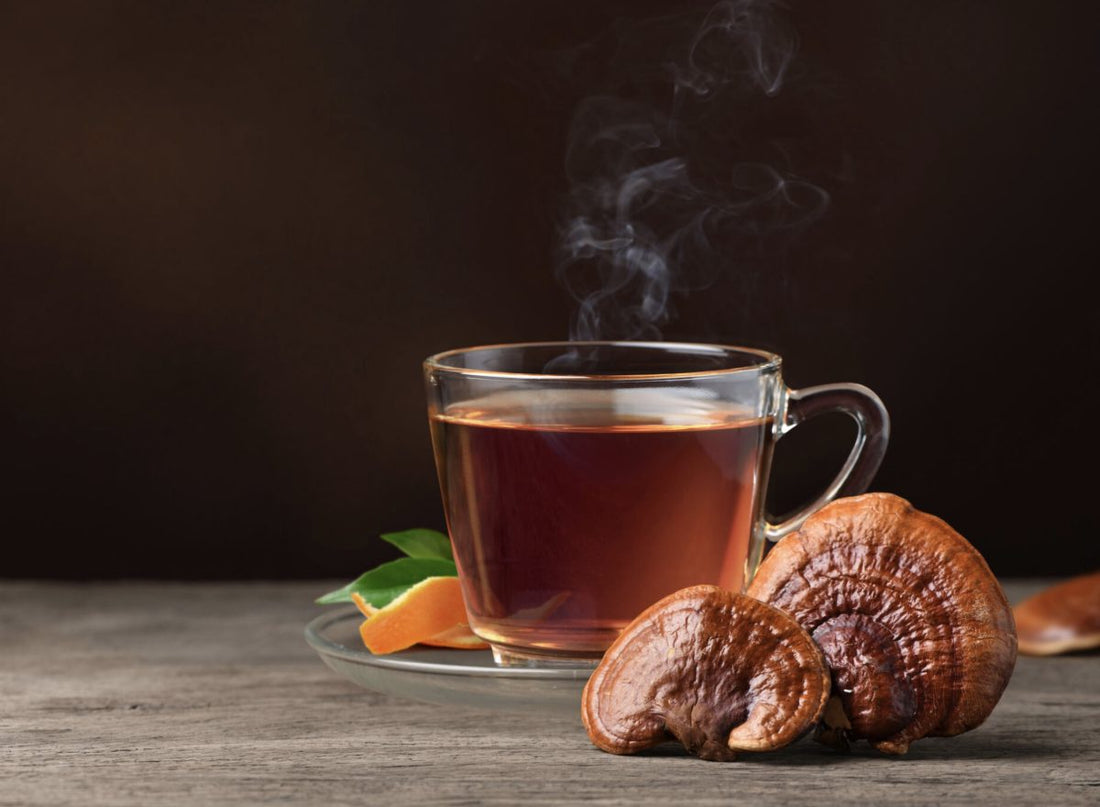 Can Reishi Mushroom Tea Be Delicious?