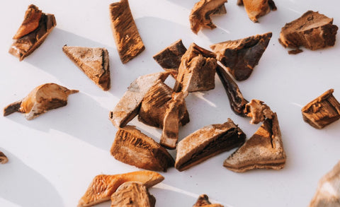 Reishi Mushroom Tea Benefits: The Ancient Elixir of Health