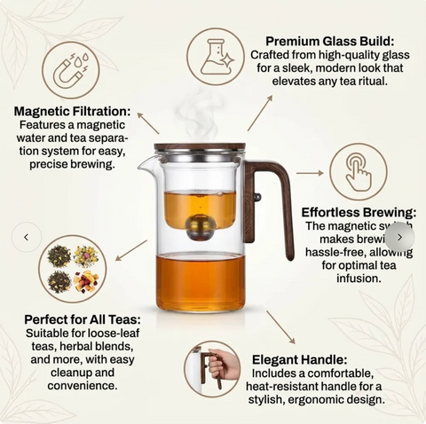 Glass Teapot with Removable Infuser & Magnetic Tea Strainer