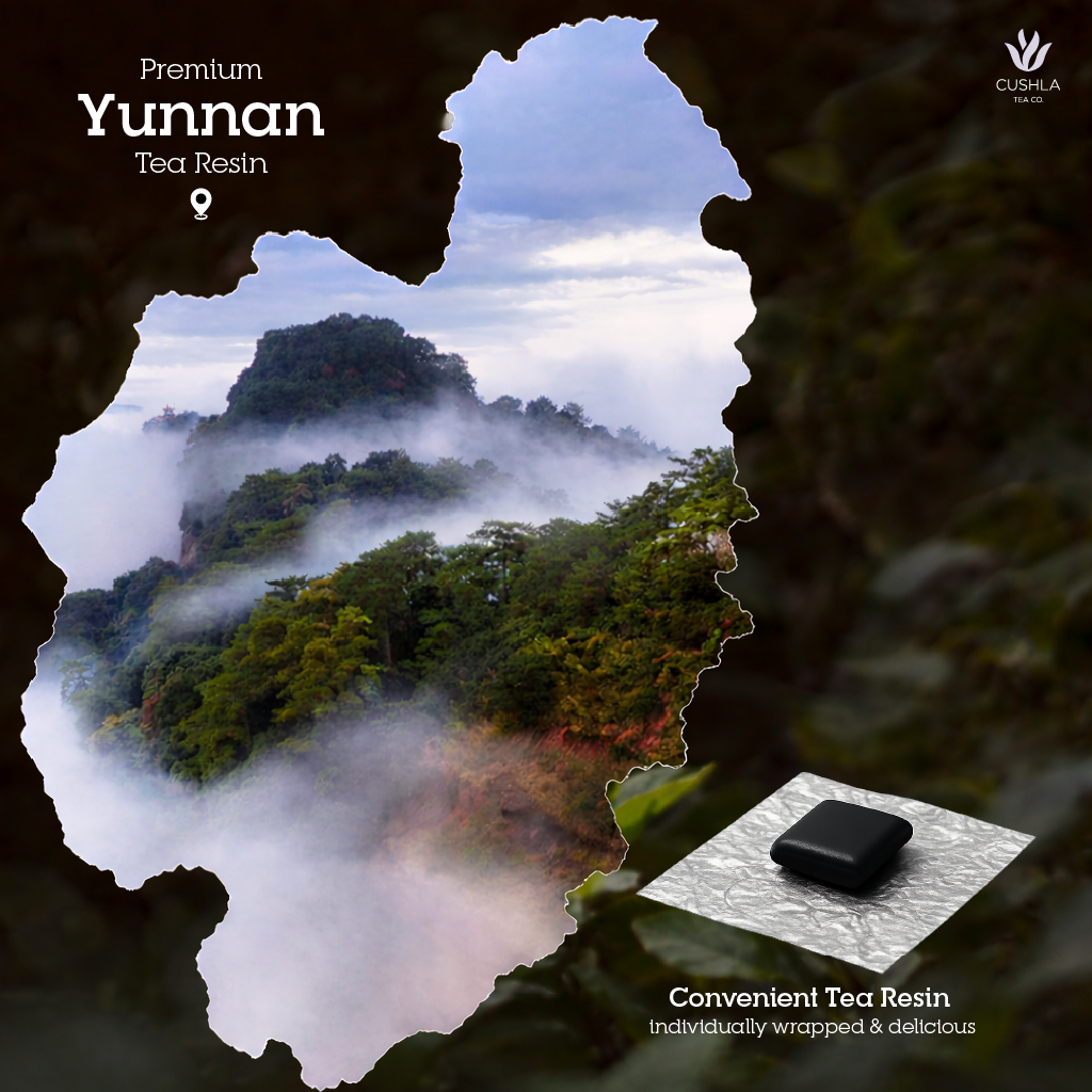 Pu-erh Jasmine Tea Resin Sheng