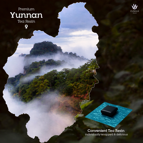 Pu'er Resin Variety Pack