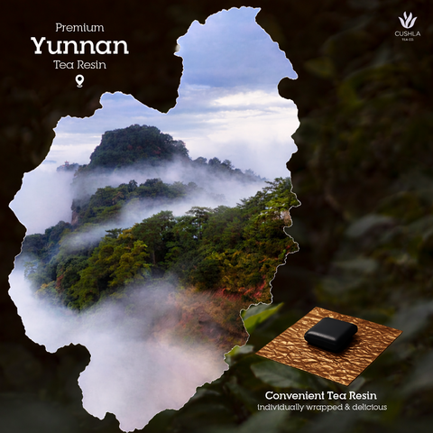 Pu-erh Osmanthus Tea Resin