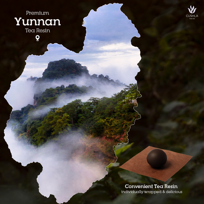 Pu-erh Orange Tea Resin Shu