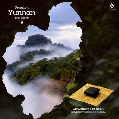 Sticky Rice Tea Resin Shu