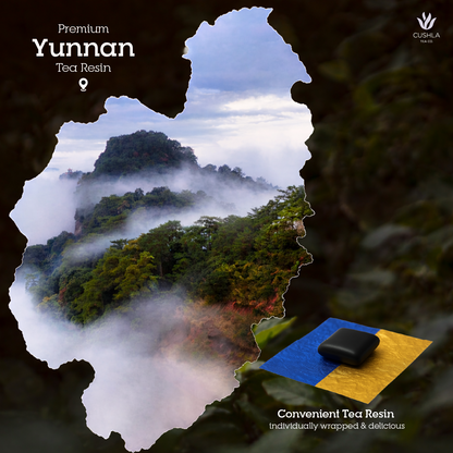 Pu-erh Tea Resin Sheng Raw