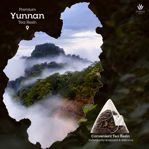 Ripe Premium Pu-Erh Tea Bags