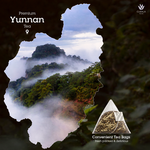 Coffee & White Tea Blend