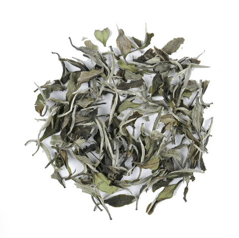 White Peony Tea Bags